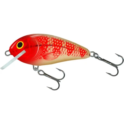 Afbeelding van Salmo Butcher 5cm Golden Red Head (Floating) Plug