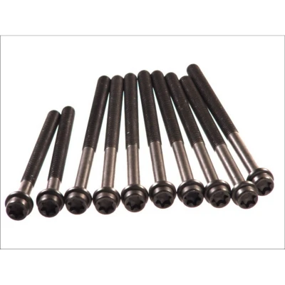 Afbeelding van ELRING 027.850 Cilinderkopbouten Binnen Torx FORD: MONDEO 4 Stufenheck, Focus 2, C Max
