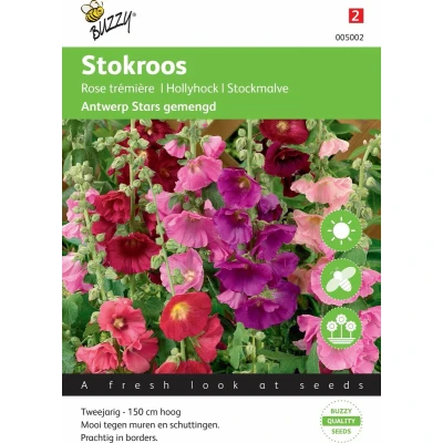 Afbeelding van Althaea Antwerp Stars mix Tuinplus Buzzy