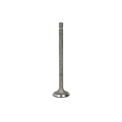 Afbeelding van FRECCIA R6573/RNT Uitlaatklep 24,1 Klepsteel met nitraat verzien
