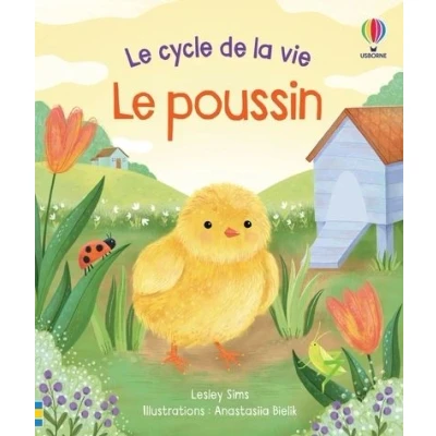 Image de Le poussin cycle de la vie Dès 2 ans