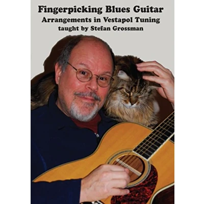 Afbeelding van Stefan Grossman Fingerpicking Blues Guitar (DVD)