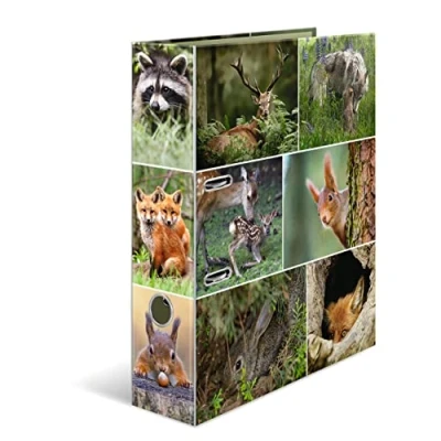 Image de HERMA classeur A4, animaux de la forêt, 7 cm large, pour enfants, avec motif animal, coloré impression intérieure, garçons et filles
