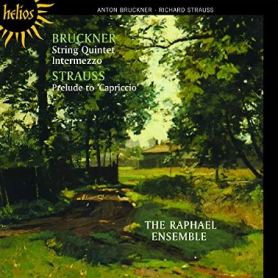Afbeelding van The Raphael Ensemble Quintet &amp; Capriccio (CD)
