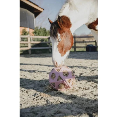 Afbeelding van Relax Paard Spel &amp; Hooi Bal