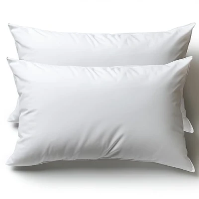 Afbeelding van Bankkussen, 30 x 50 cm, set van 2 kussens, decoratieve accessoires voor bank, decoratie, stijlvol, woonkamer en buiten, hypoallergeen mijtwerend, met kussensloop microvezel.