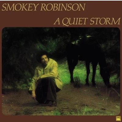 Afbeelding van A Quiet Storm