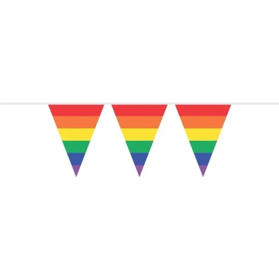 Afbeelding van Vlaggenlijn regenboog punt 10 meter