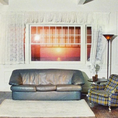 Afbeelding van Wallows Model (LP)