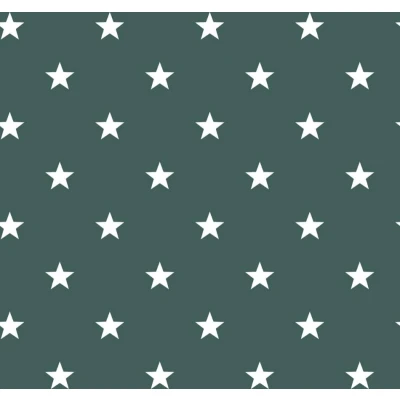 Afbeelding van Deauville Vliesbehang Sterren Behang Muurdecoratie Groen 0,53 x 10,05 M.