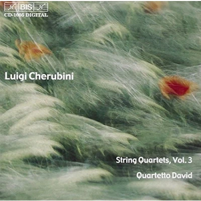 Afbeelding van Quartetto David. String Quartet No.5 (CD)
