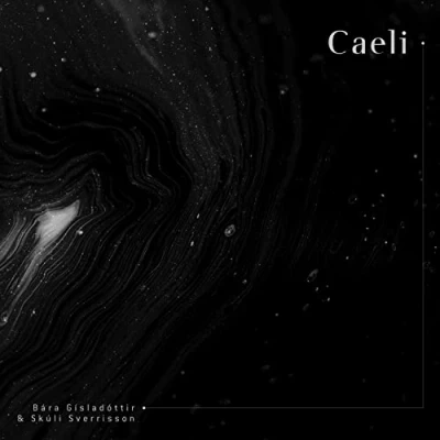 Afbeelding van Bara Gisladottir Skuli Sverrisson Caeli (2 CD)