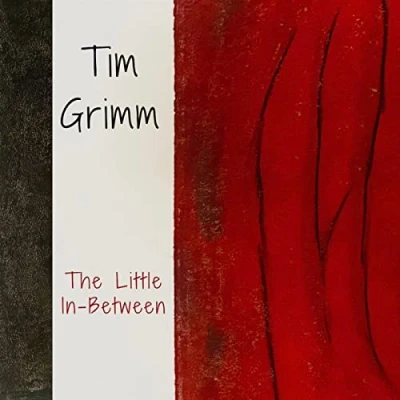 Afbeelding van Tim Grimm The Little In Between (CD)