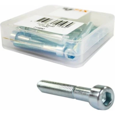 Afbeelding van Inbusbout Bofix RVS M6x40 (12 stuks)