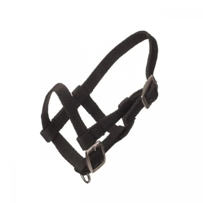 Image de HB Licol Nylon Noir Poulain Miniature