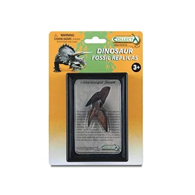 Afbeelding van Collecta Prehistorie: Tand Van Triceratops 11,5 Cm Donkerbruin