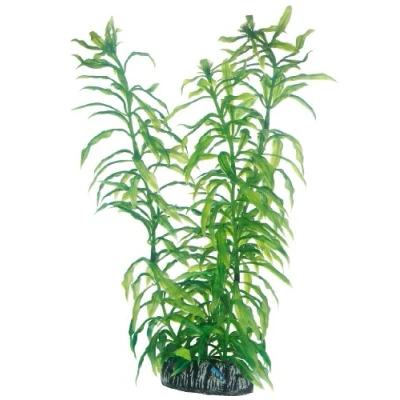 Afbeelding van Hobby Plant Heteranthera 25 Cm