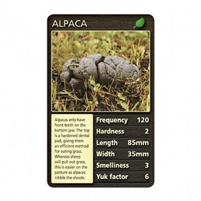 Image de Jeu de cartes avec animaux dégoutants