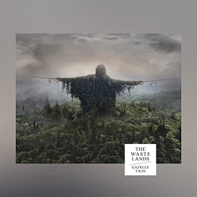 Afbeelding van Gazelle Twin Wastelands (LP)
