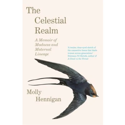 Afbeelding van THE Celestial Realm: SHORTLISTED FOR SUNDAY INDEPENDENT NEWCOMER OF YEAR IRISH BOOK AWARDS