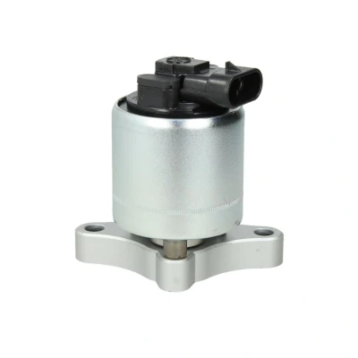 Afbeelding van DELPHI EG10003 12B1 EGR klep Met pakkingen OPEL: Corsa C Hatchback, Meriva A, Zafira A