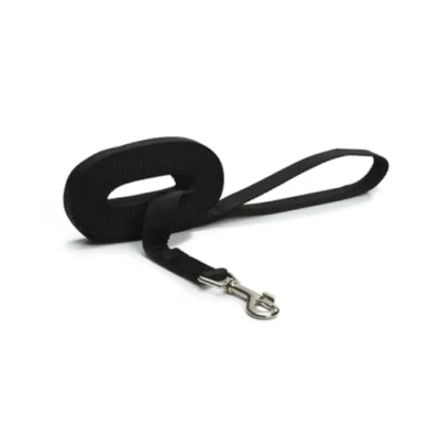 Afbeelding van Beeztees nylon weblijn 5m x 25 mm