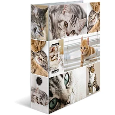 Image de HERMA 7166 Multi Cartable A4