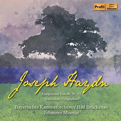 Afbeelding van Johannes Moesus Joseph Haydn Wallerstein Symphonies (CD)