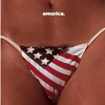 Afbeelding van The Black Crowes Amorica (CD)
