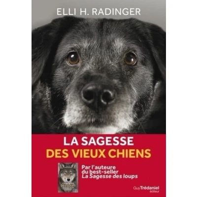 Image de La sagesse des vieux chiens
