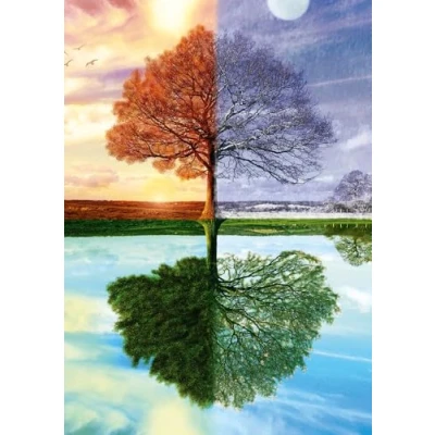 Afbeelding van Schmidt Spiele The seasons tree Legpuzzel 500 stuk(s) Liggend