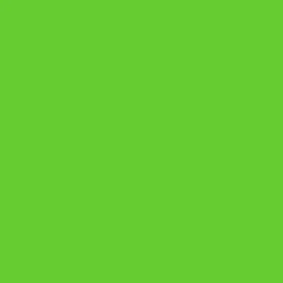 Afbeelding van plottiX Perm Vinylfolie, 31,5 cm x 1 m, lichtgroen