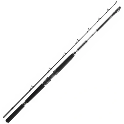Afbeelding van Daiwa BG Deep Sea 2,20m 30lbs Boothengel