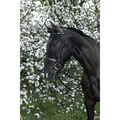 Afbeelding van Riding World Hoofdstel met Hoge Neusriem Cob