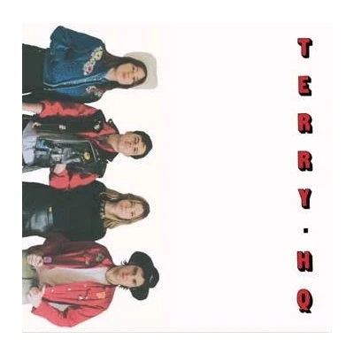 Afbeelding van Terry HQ (LP)