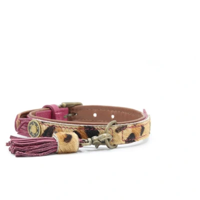Afbeelding van Dwam Halsband Lou Paars Hondenhalsband 29 33x2 cm