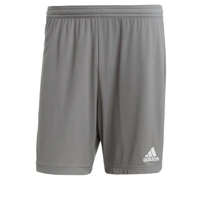 Image de adidas Homme Entrada 22 Shorts, Team Grey Four, 4XL Tall