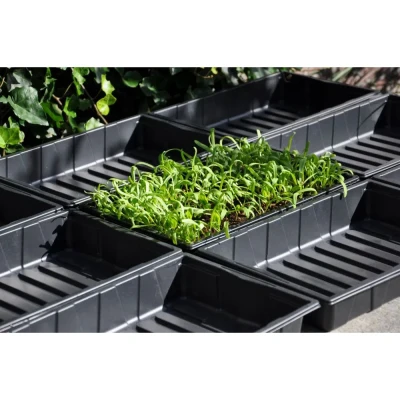 Afbeelding van Seed tray 37,5 x 23 6 cm set a 12 Royal Well