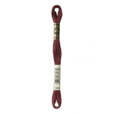 Afbeelding van DMC 3858 katoenen borduurgaren per streng
