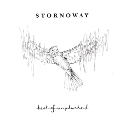 Afbeelding van Stornoway Best Of: Unplucked (LP)