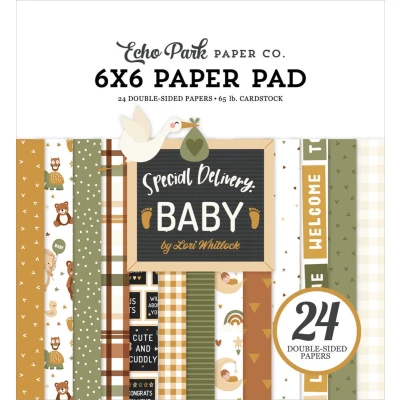 Afbeelding van Echo Park Special Delivery Baby 6x6 Inch Paper Pad (SDY355023)
