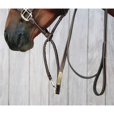 Image de Kentucky Ketting Leather Covered Marron 270cm