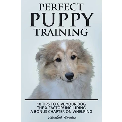 Afbeelding van Perfect Puppy Training