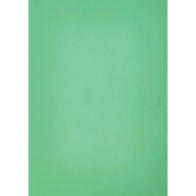Afbeelding van Papieren huis en kleurenkaart, A4, 80 vellen, lichtgroen (Pack van 50 vellen)
