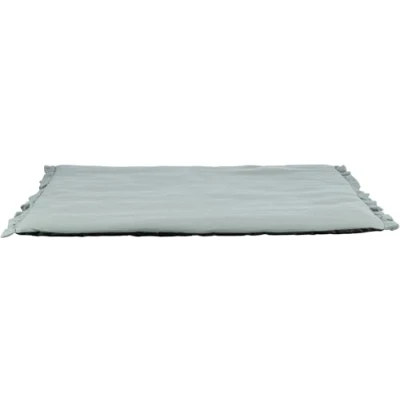 Afbeelding van Trixie Ligmat Amelie Saliegroen 90X65 CM