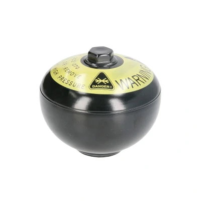 Afbeelding van ABS elektronica BOSCH 0 265 202 070