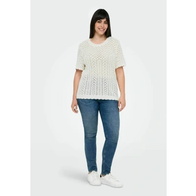 Afbeelding van ONLY CARMAKOMA CARSAGA LIFE SS O NECK KNT NOOS Dames Gebreide truien