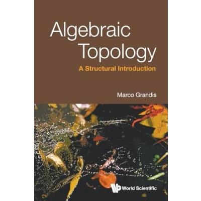 Afbeelding van Algebraic Topology