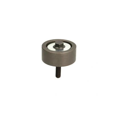 Afbeelding van DAYCO APV2818 Geleiderol