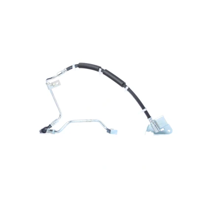 Afbeelding van Remslang DELPHI LH6941